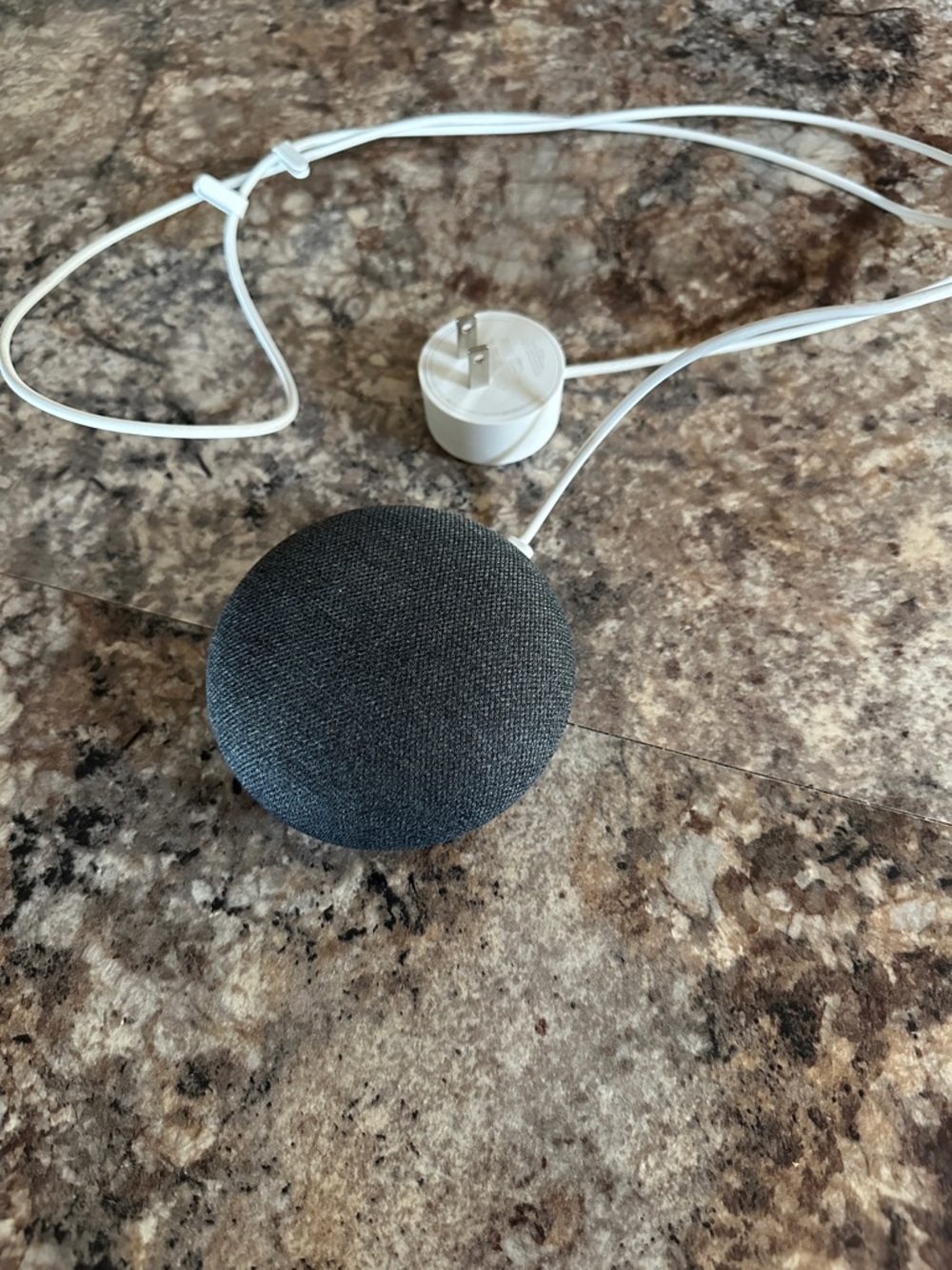 Google Home Mini Charcoal Gray